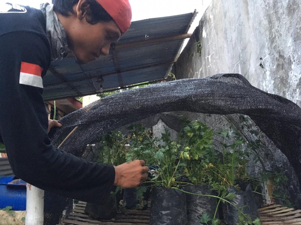 Pramuka Kota Semarang Berkebun