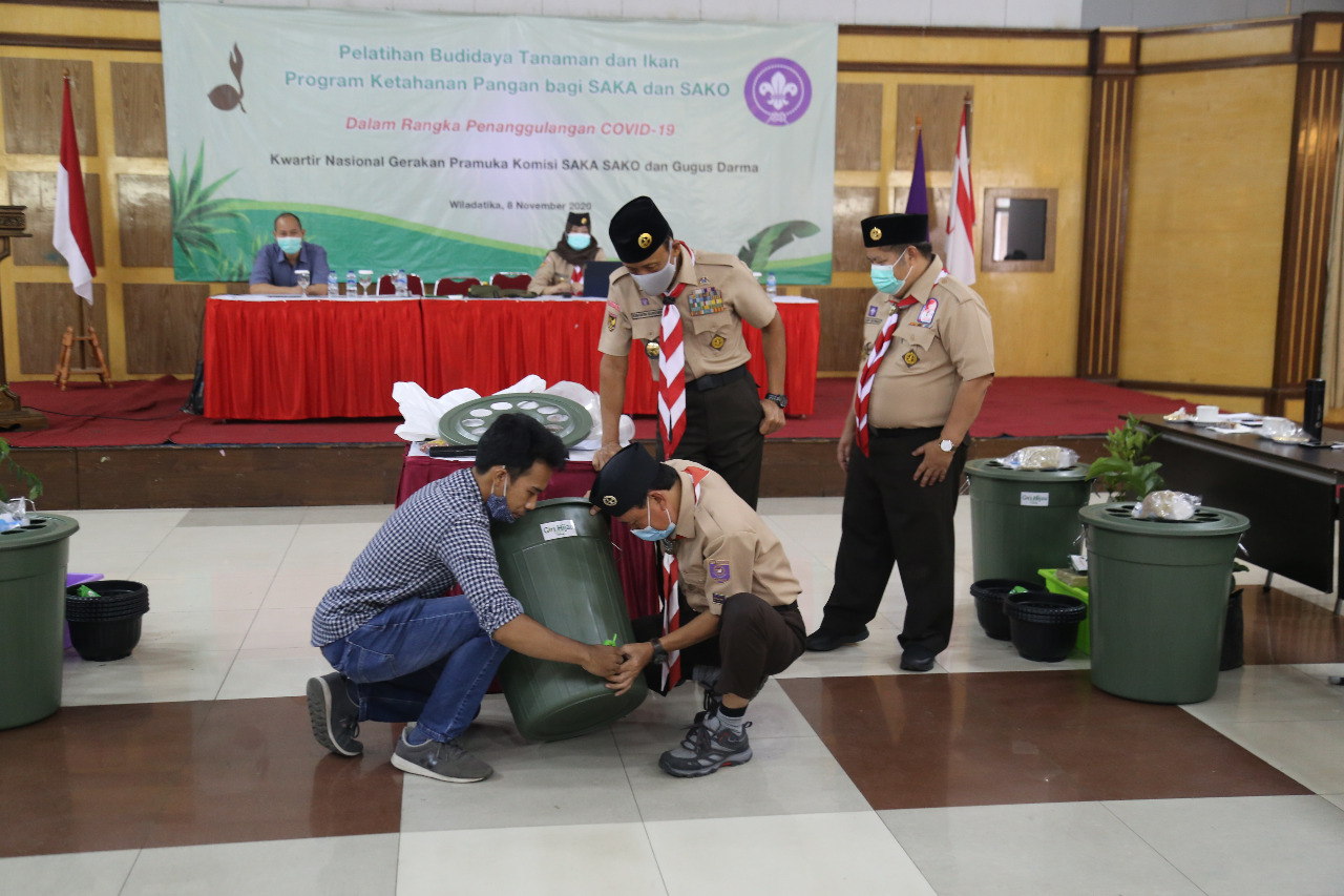 Daun Pepaya Penghilang Stress Lele