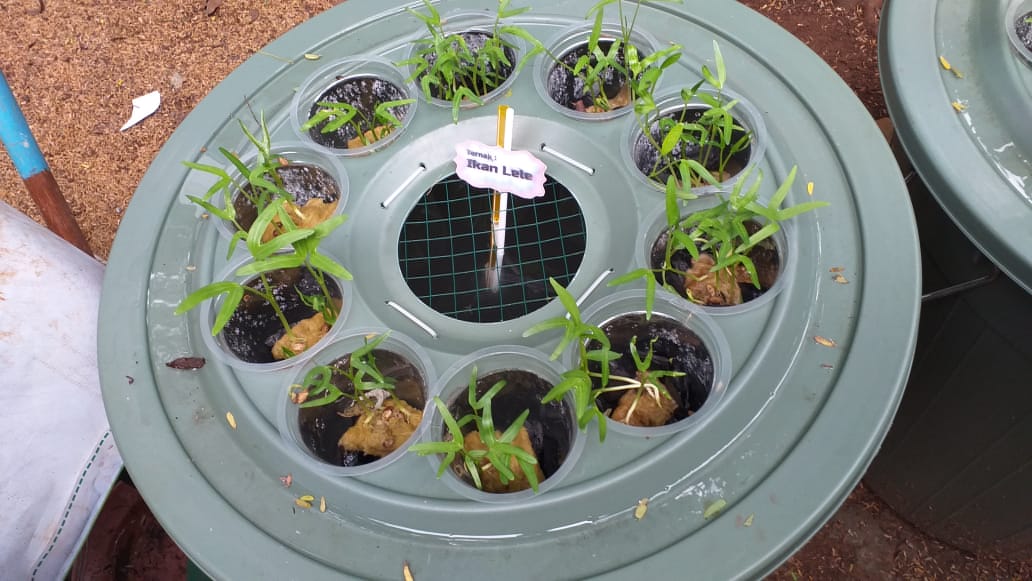 Kreativitas Pramuka  SDIT Said bin Tsabit di Masa Pandemi