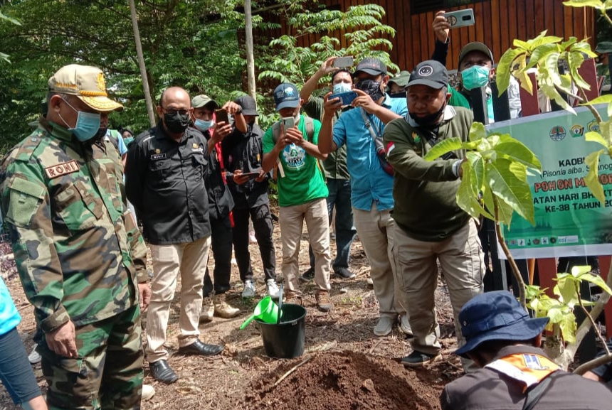Pramuka Kota Baubau Ikut Aksi Penanaman Pohon di Hari Rimbawan