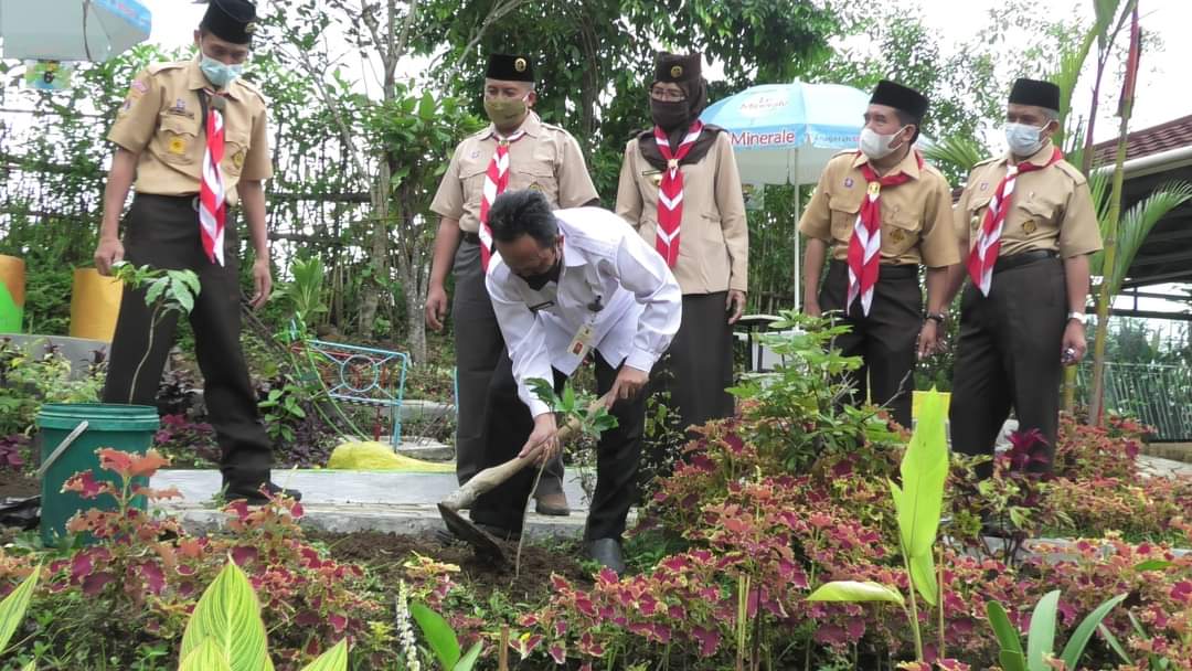 Sako Ma’arif Banyumas Tanam Pohon Kopi Robusta
