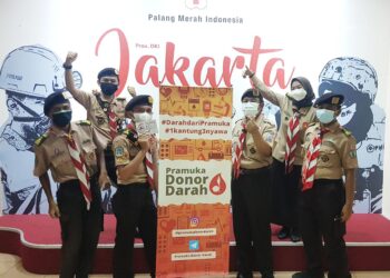 Pramuka Donor Darah, Proyek yang Terima Penghargaan Tingkat Dunia