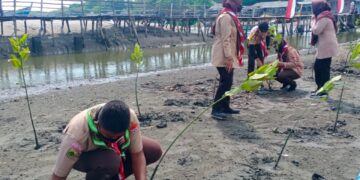Penanaman 1000 pohon Mangrove secara simbolis ini dilaksanakan di Pantai Laut Pulau Semadu Rancung, Kecamatan Muara Satu, Lhokseumawe pada Kamis (27/1/2022).