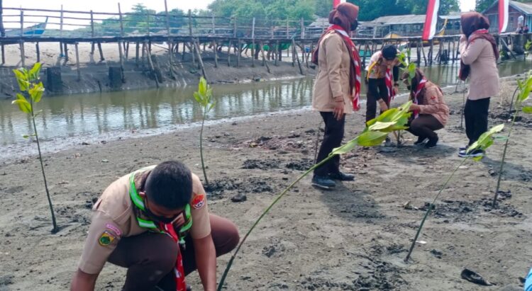 Penanaman 1000 pohon Mangrove secara simbolis ini dilaksanakan di Pantai Laut Pulau Semadu Rancung, Kecamatan Muara Satu, Lhokseumawe pada Kamis (27/1/2022).