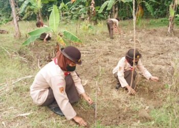 Peringati BP Day, Saka Wanabakti Grobogan Lakukan Aksi Tanam Pohon