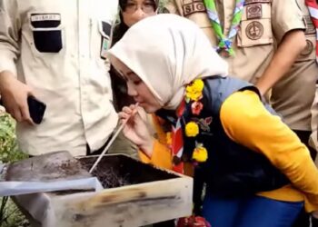 Video – Kunjungi Kampung Pramuka, KaKwarda Jabar Sedot Madu Langsung Dari Sarang Lebah