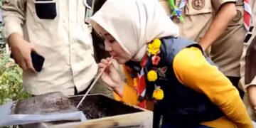 Video – Kunjungi Kampung Pramuka, KaKwarda Jabar Sedot Madu Langsung Dari Sarang Lebah