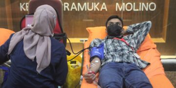 Donor Darah di Auditorium Kwarnas, Rangkaian Kegiatan Bulan Bakti Pramuka 2022