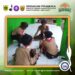 Jelang Giat Kwarran Pramuka SDN Kedung Waringin Tingkatkan Latihan