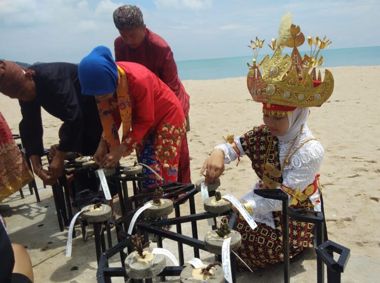 Pramuka Transplantasi Terumbu Karang di Provinsi Kepulauan Bangka Belitung