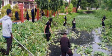 Ratusan Pramuka Merauke Lakukan Aksi Pembersihan Drainase