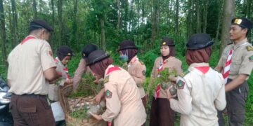 Sambut Hari Boden Powell, Saka Wanabakti Grobogan Canangkan Tanam 500 Pohon