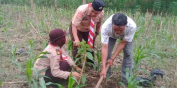 Peringati Hari Tunas, Saka Wanabakti Adakan Penanaman