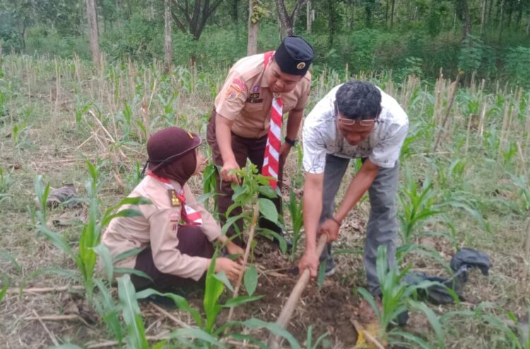 Peringati Hari Tunas, Saka Wanabakti Adakan Penanaman