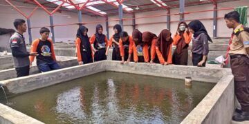 Tingkatkan Kemampuan Budidaya Perikanan, Pramuka DIY Ikuti Pelatihan Pembenihan Ikan Lele