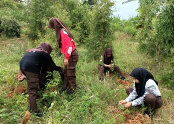 Saka Wanabakti Grobogan Gelar Penanaman Bersama Perhutani