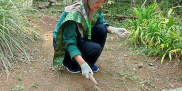 Mengenal Tanaman Herbal, Peserta Pertinas Ikut Serta Penanaman TOGA Bersama Masyarakat