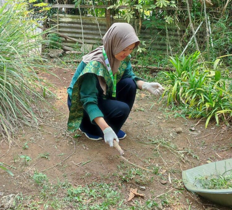 Mengenal Tanaman Herbal, Peserta Pertinas Ikut Serta Penanaman TOGA Bersama Masyarakat
