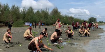 Saka Wira Kartika Bersama Kodim 0102/Pidie Tanam Mangrove