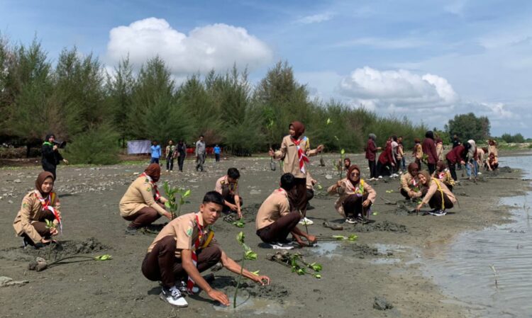 Saka Wira Kartika Bersama Kodim 0102/Pidie Tanam Mangrove