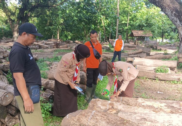 Anggota Saka Wanabakti Grobogan Dilatih Pengukuran Kayu