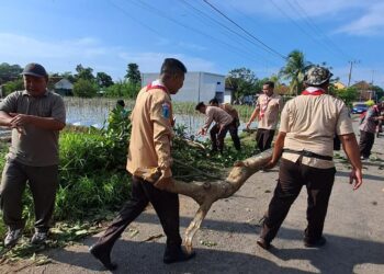 Pramuka Peduli Kwartir Ranting Srono Sigap Tangani Bencana Angin Puting Beliung