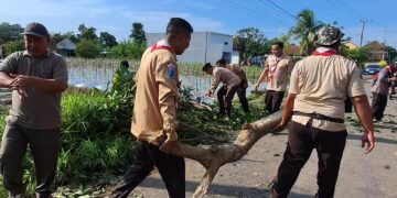 Pramuka Peduli Kwartir Ranting Srono Sigap Tangani Bencana Angin Puting Beliung